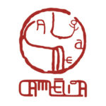 Chá Camélia